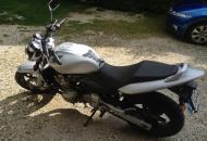 Honda-Hornet