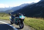 Suzuki | GSXR 1100