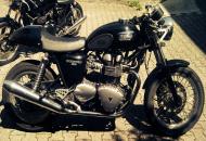 Triumph-Thruxton