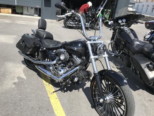 Harley-Davidson break out